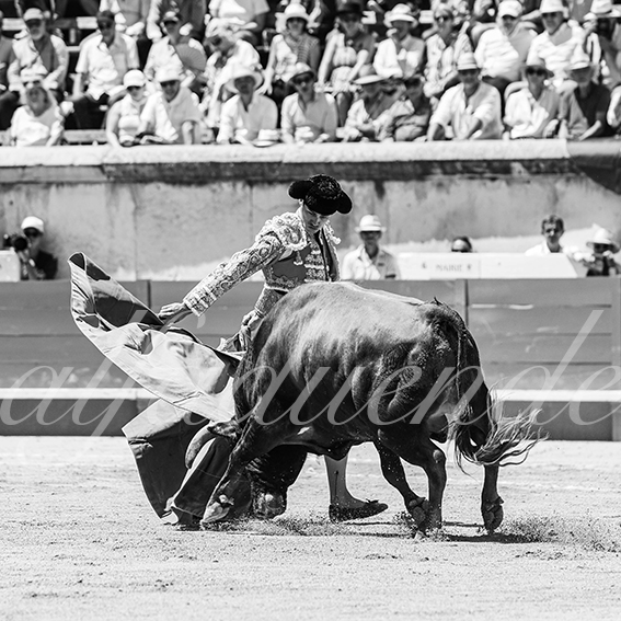 20260524 nimes matin fd 021