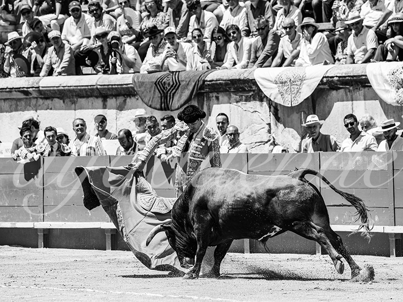 20260524 nimes matin fd 020