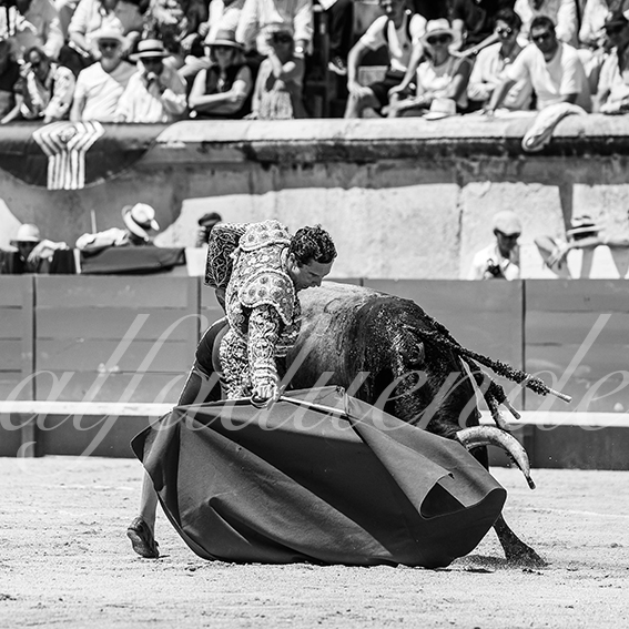 20260524 nimes matin fd 015