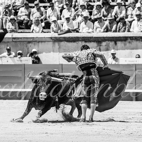 20260524 nimes matin fd 014