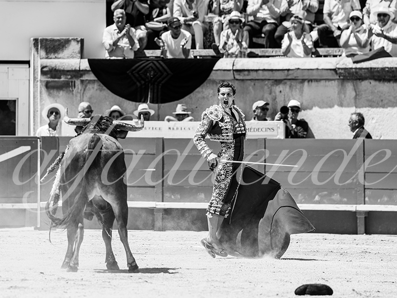 20260524 nimes matin fd 013