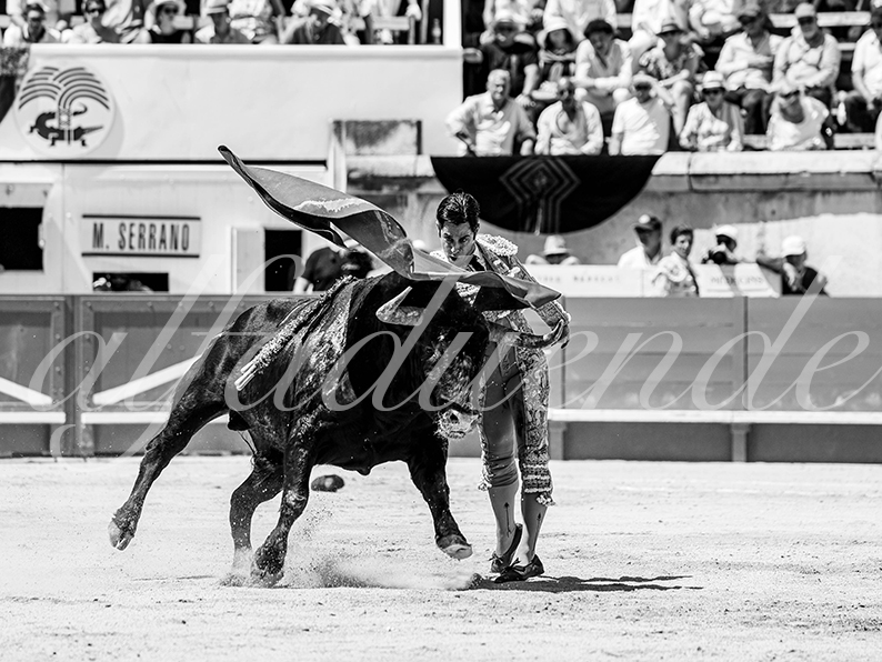 20260524 nimes matin fd 010