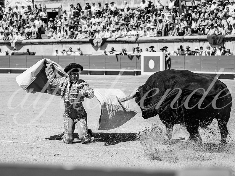 20260524 nimes matin fd 009