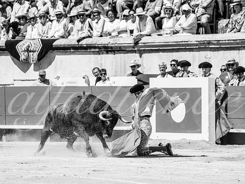 20260524 nimes matin fd 007