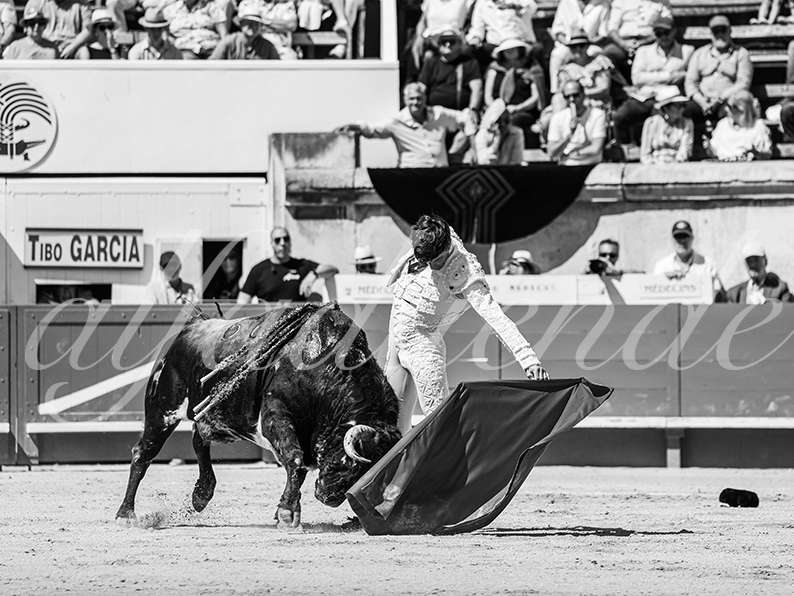 20260524 nimes matin fd 004