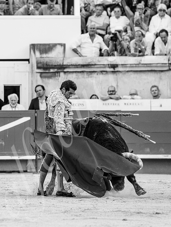 20260524 nimes tarde fd 019