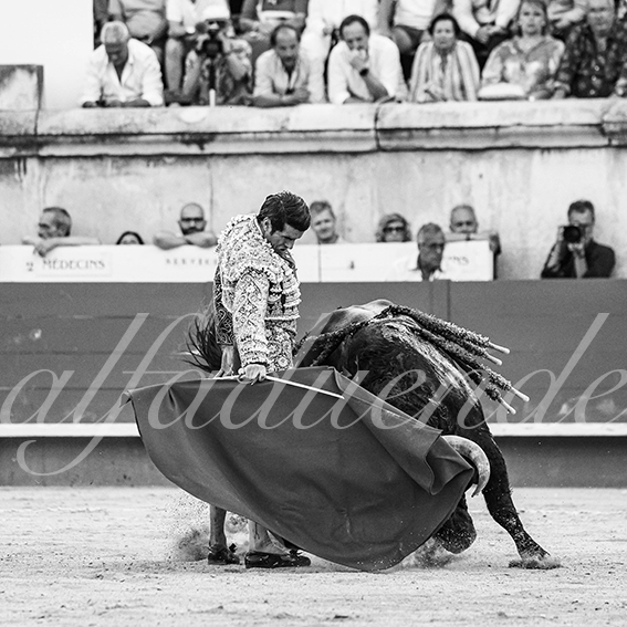 20260524 nimes tarde fd 018