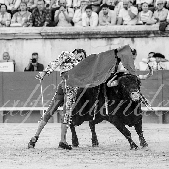 20260524 nimes tarde fd 017