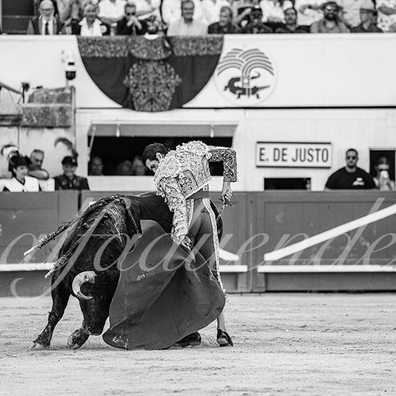 20260524 nimes tarde fd 016