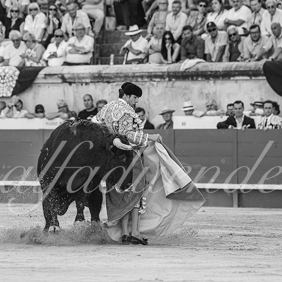 20260524 nimes tarde fd 015