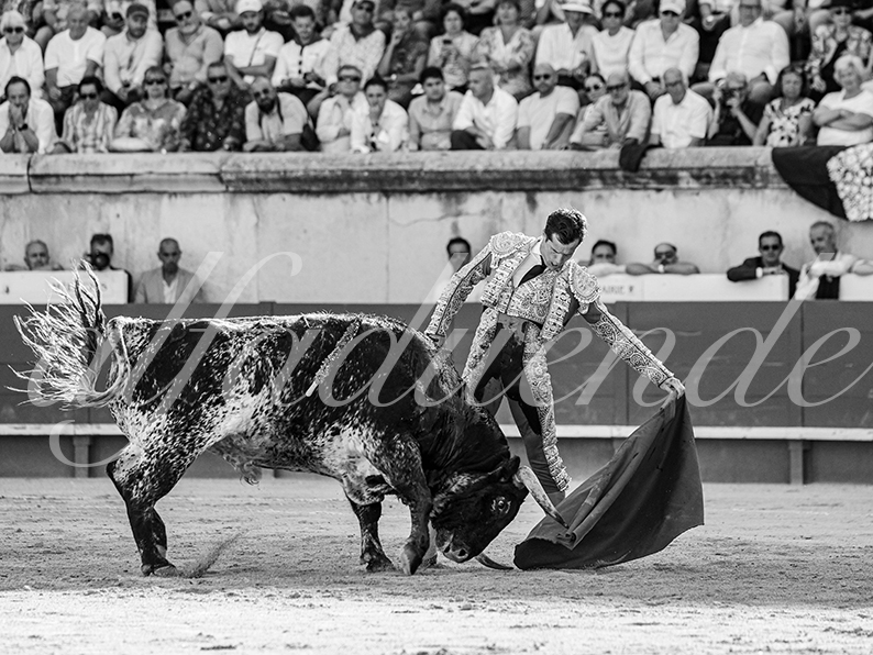 20260524 nimes tarde fd 014