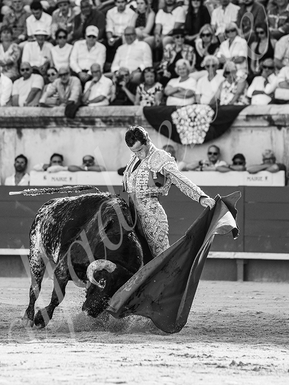 20260524 nimes tarde fd 013
