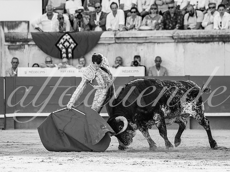 20260524 nimes tarde fd 012