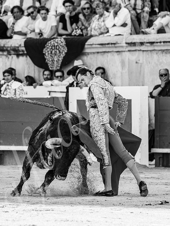 20260524 nimes tarde fd 011