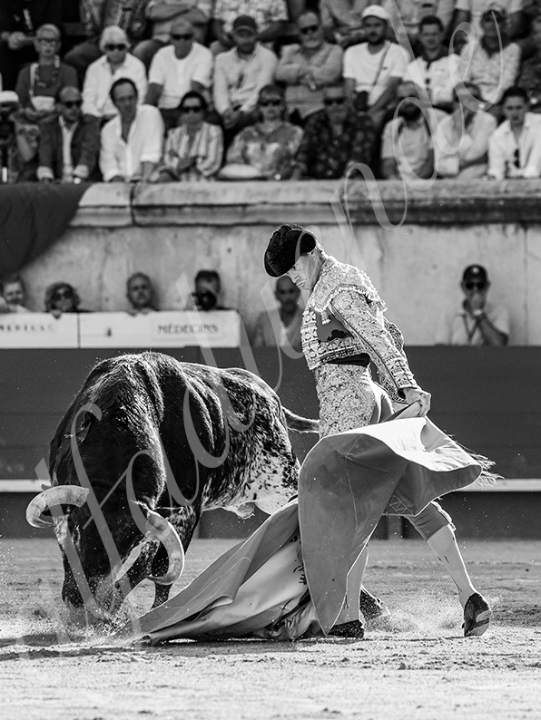 20260524 nimes tarde fd 010