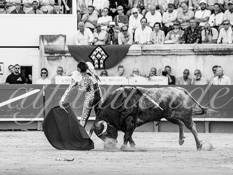 20260524 nimes tarde fd 009