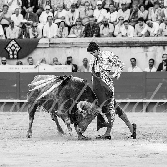 20260524 nimes tarde fd 008