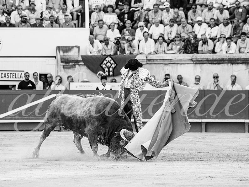 20260524 nimes tarde fd 007