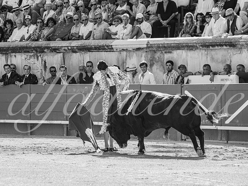20260524 nimes tarde fd 005