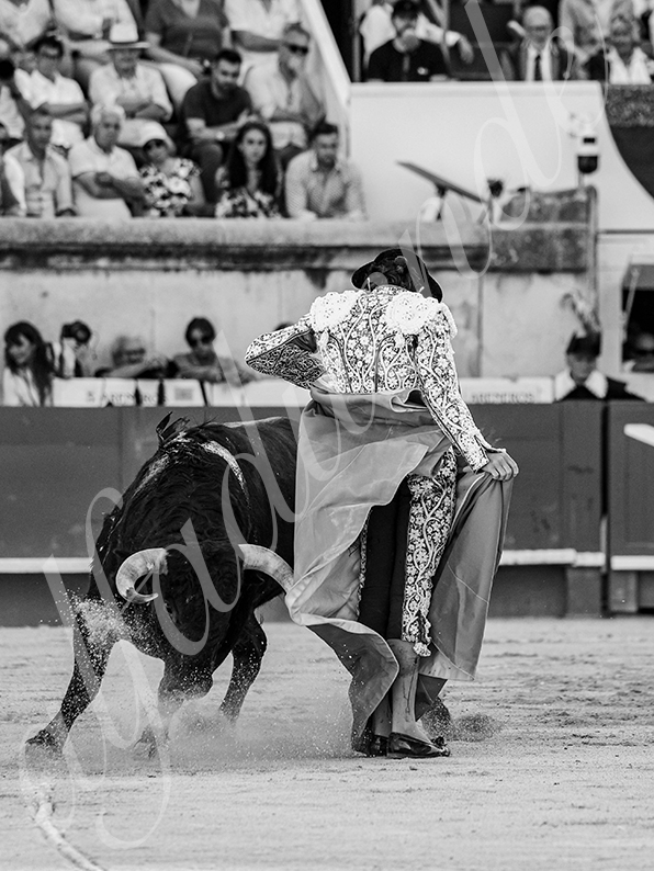 20260524 nimes tarde fd 004
