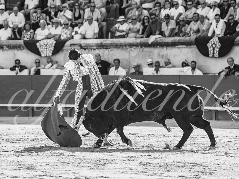 20260524 nimes tarde fd 003