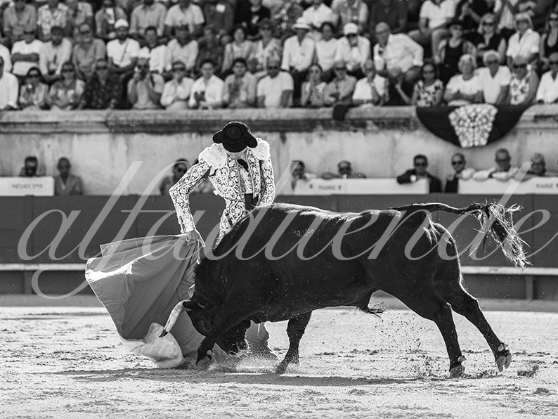 20260524 nimes tarde fd 002