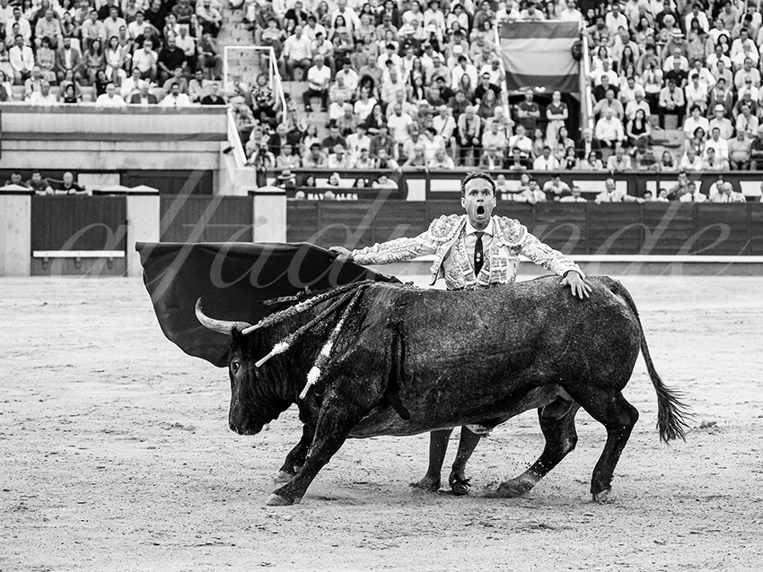 20260531 madrid bd 021 copie