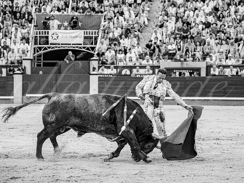 20260531 madrid bd 020 copie