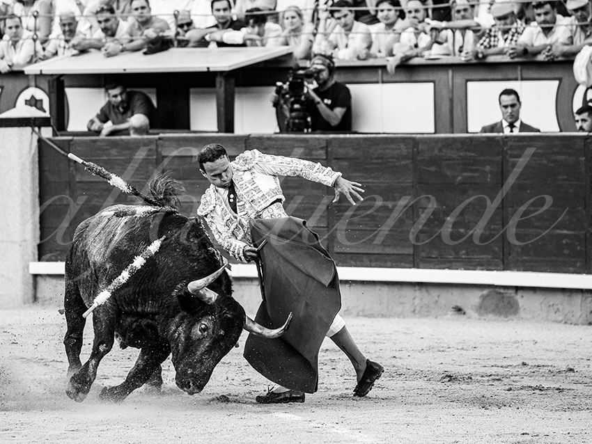 20260531 madrid bd 019 copie