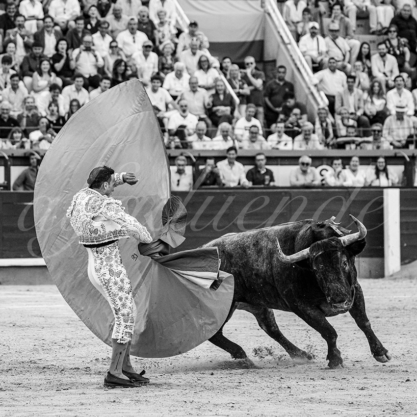 20260531 madrid bd 018 copie