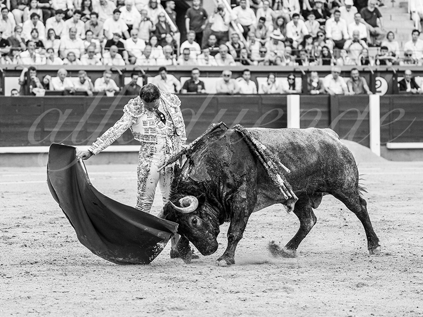 20260531 madrid bd 014 copie