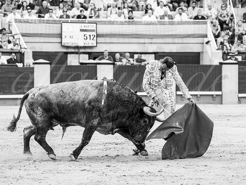 20260531 madrid bd 013 copie