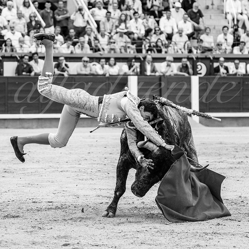 20260531 madrid bd 010 copie