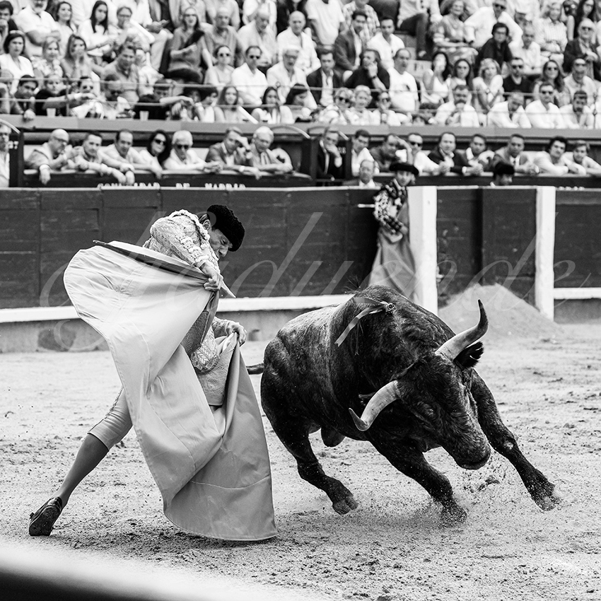 20260531 madrid bd 009 copie