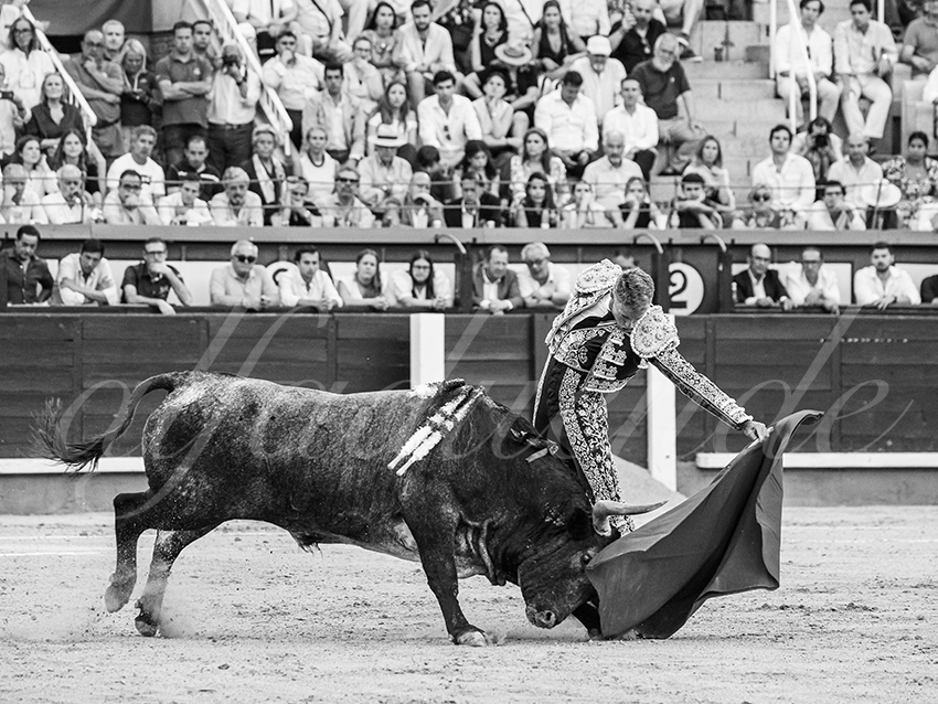 20260531 madrid bd 007 copie