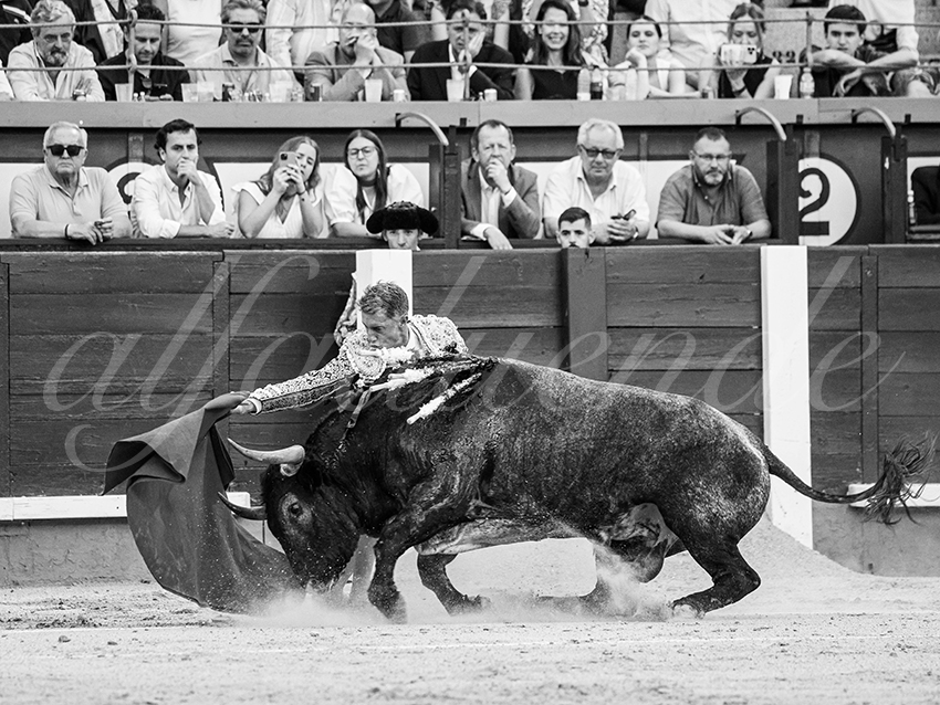 20260531 madrid bd 006 copie