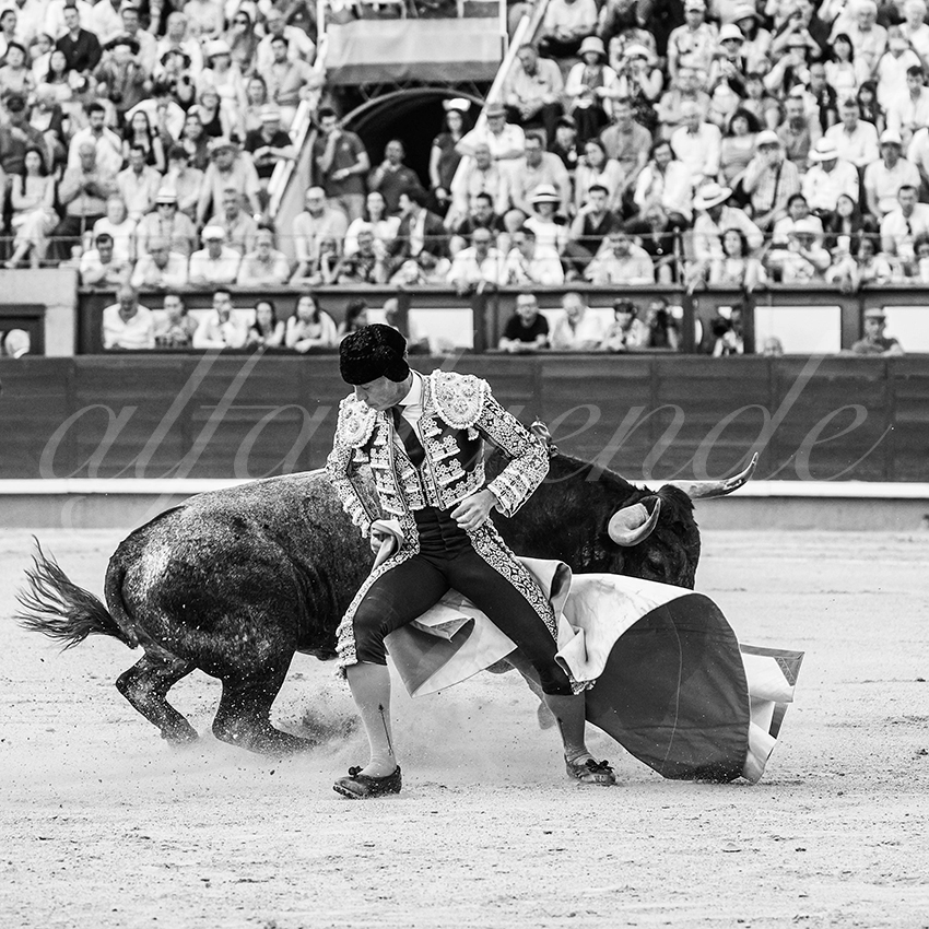 20260531 madrid bd 005 copie
