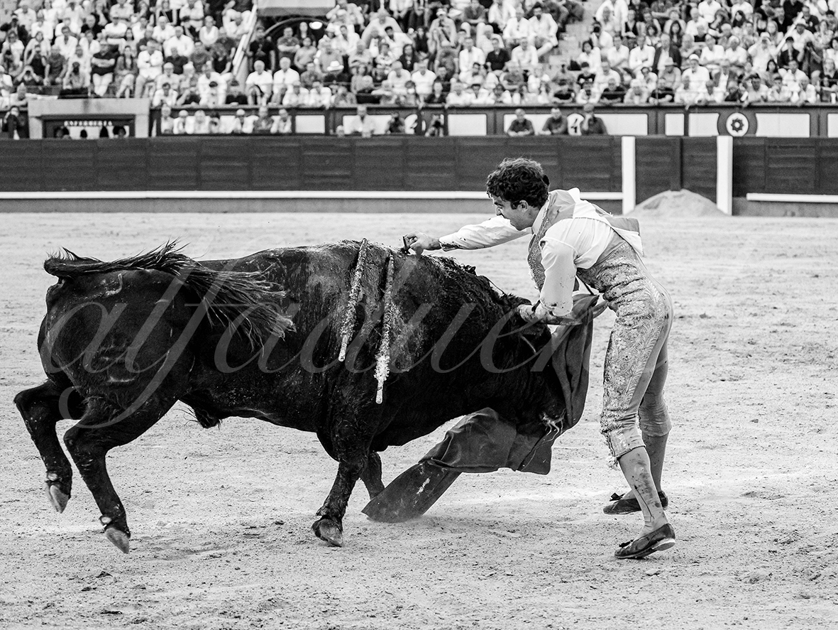 20260604 madrid bd 027