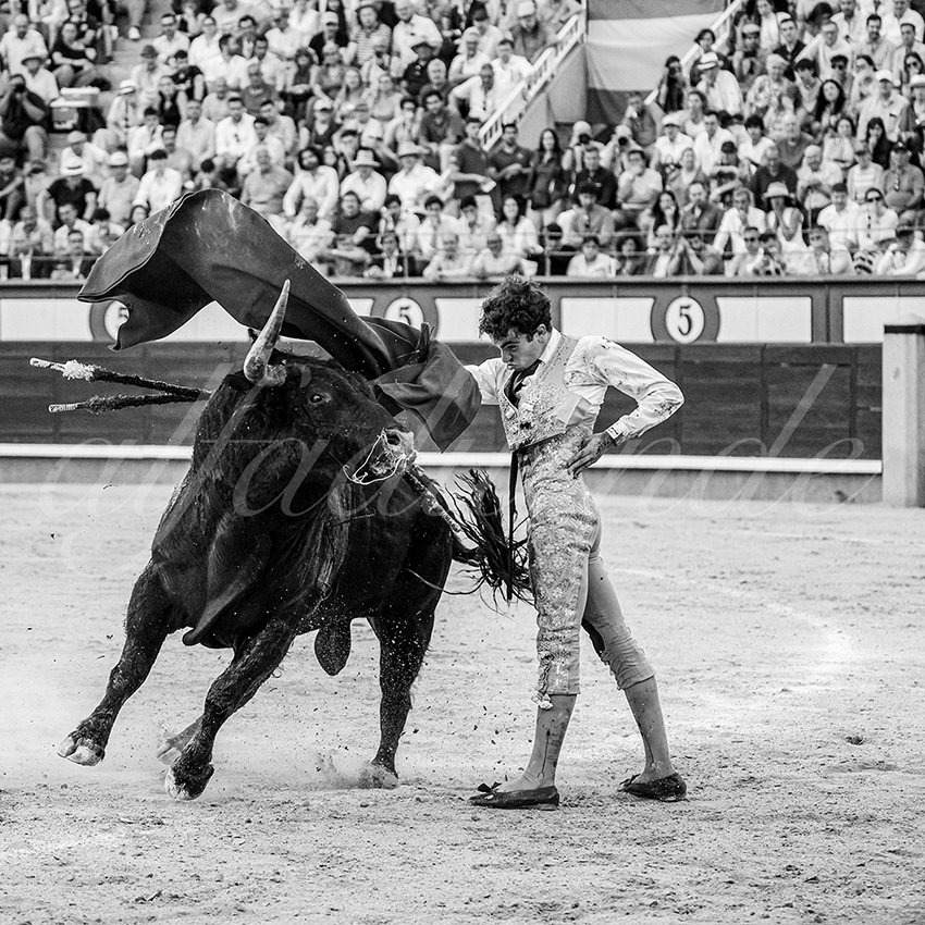 20260604 madrid bd 026