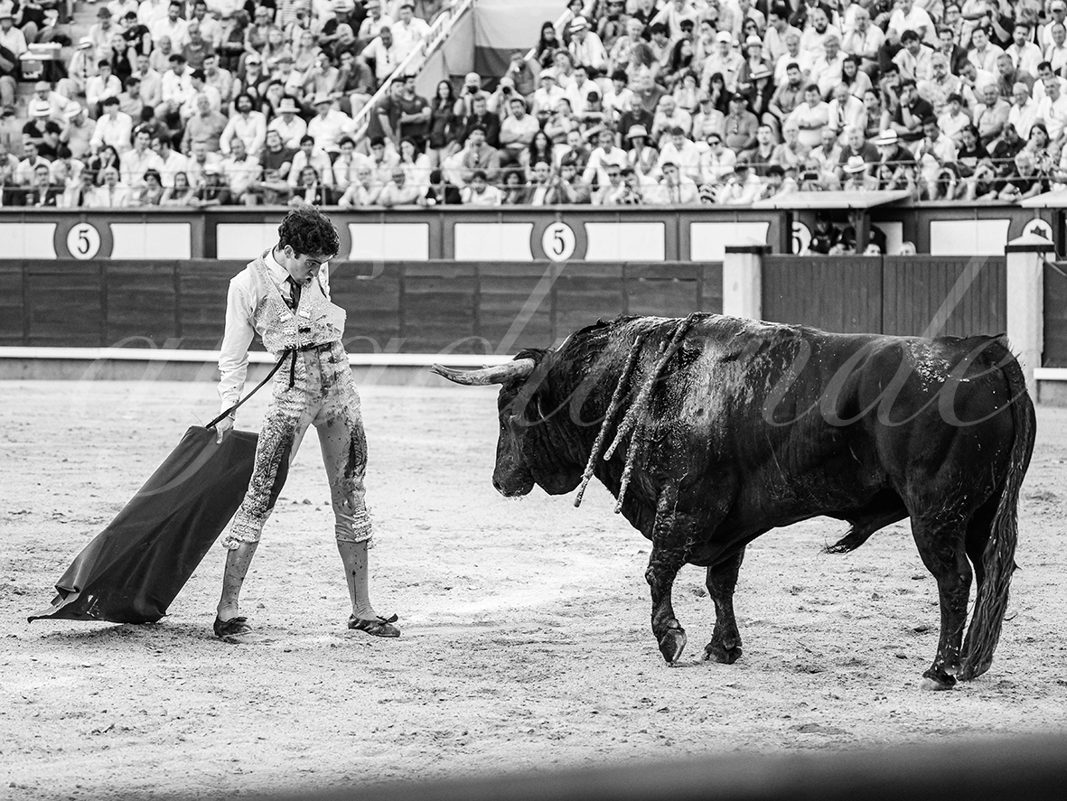 20260604 madrid bd 025