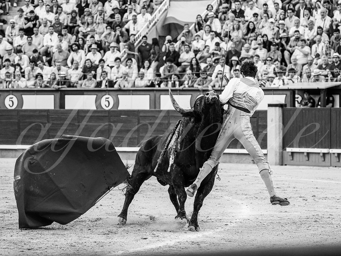 20260604 madrid bd 024