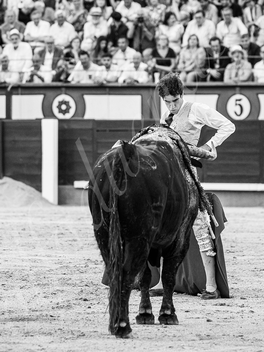 20260604 madrid bd 022