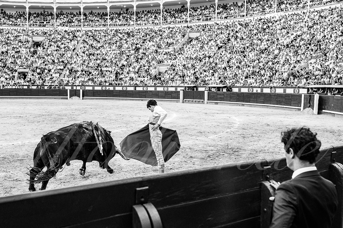 20260604 madrid bd 021