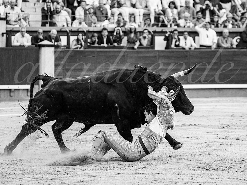 20260604 madrid bd 019