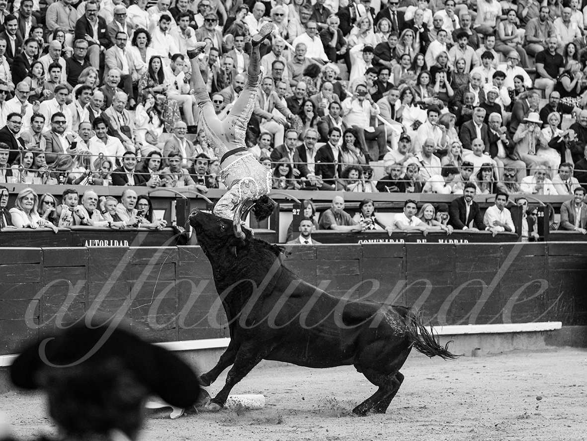 20260604 madrid bd 018