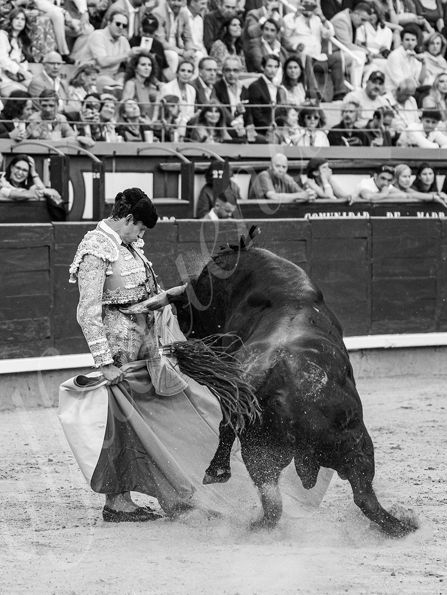 20260604 madrid bd 017