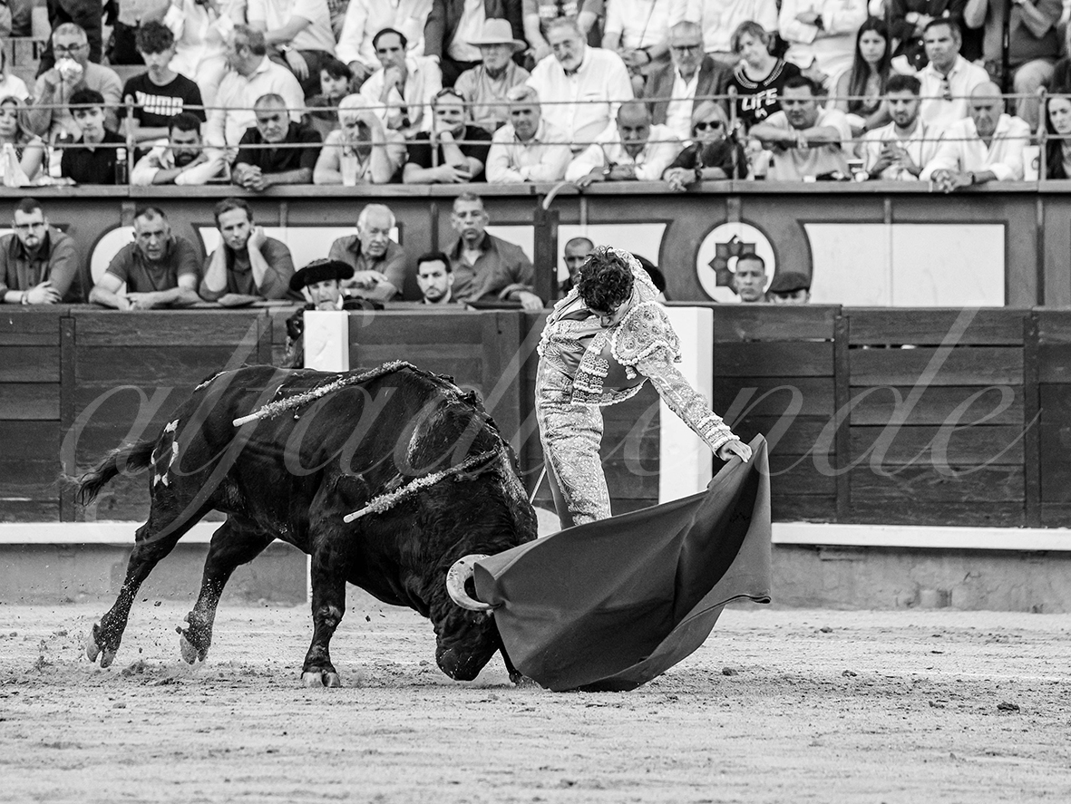 20260604 madrid bd 014