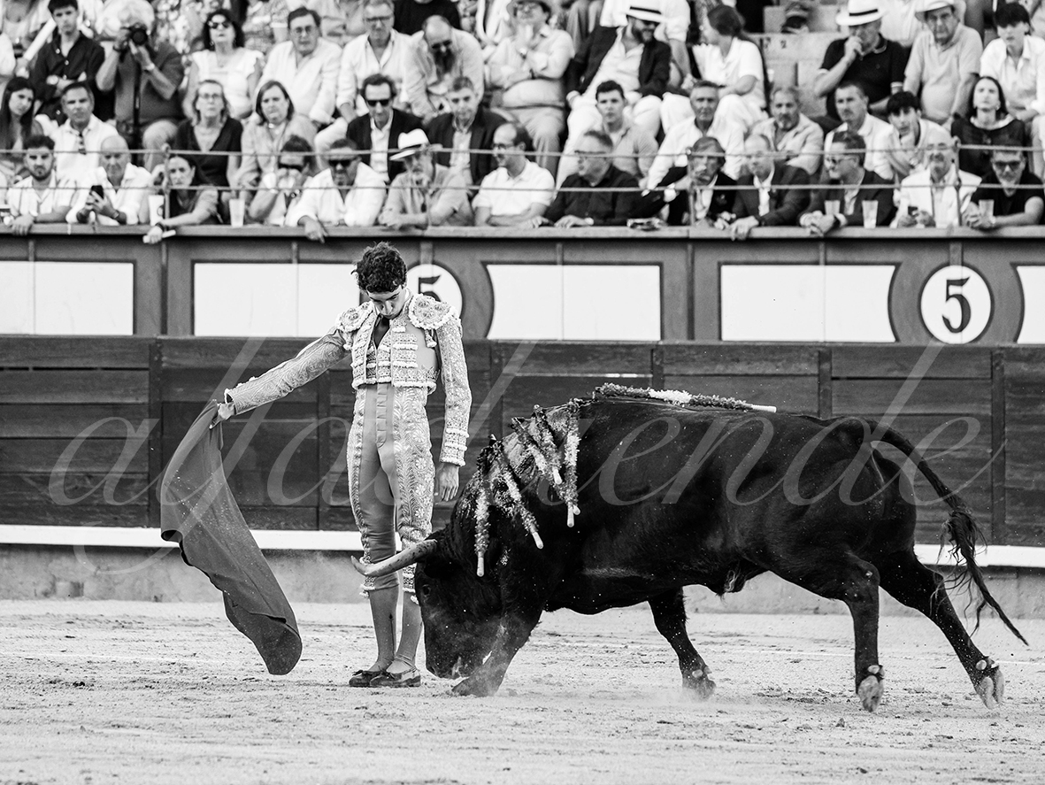 20260604 madrid bd 013