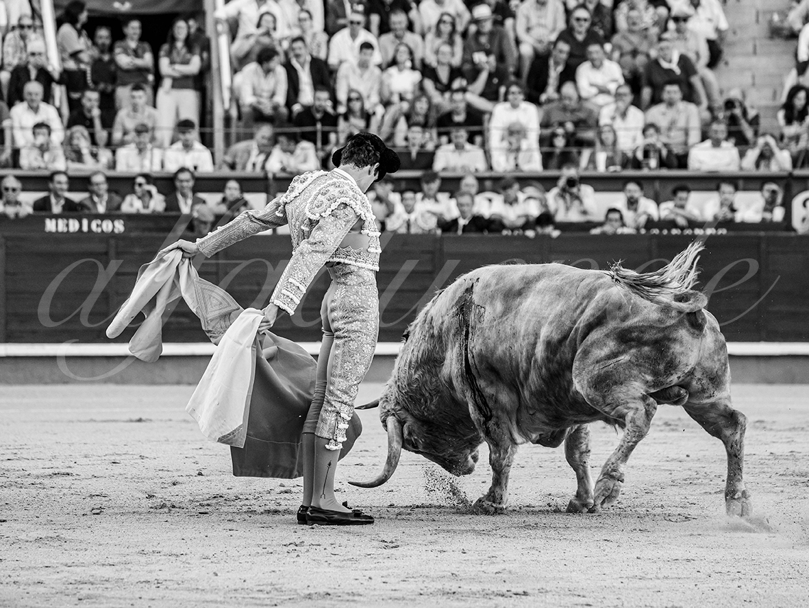 20260604 madrid bd 012