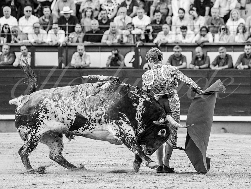 20260604 madrid bd 010
